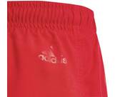 Vorschau: ADIDAS Kinder Badeshorts Sportswear Essentials Logo CLX Kids