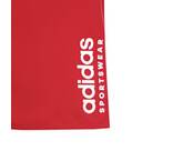 Vorschau: ADIDAS Kinder Badeshorts Sportswear Essentials Logo CLX Kids