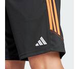 Vorschau: ADIDAS Herren Shorts Tiro 23 Club