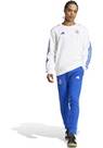 Vorschau: ADIDAS Herren Fanhose Real Madrid DNA