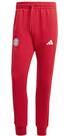 Vorschau: ADIDAS Herren Fanhose FC Bayern München DNA
