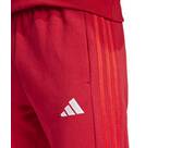 Vorschau: ADIDAS Herren Fanhose FC Bayern München DNA