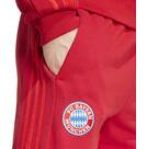 Vorschau: ADIDAS Herren Fanhose FC Bayern München DNA