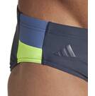 Vorschau: ADIDAS Badehose Colorblock