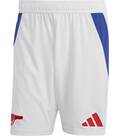 Vorschau: ADIDAS Herren Teamhose FC Arsenal 24/25 Heim