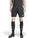 Vorschau: ADIDAS Herren Teamhose FC Arsenal 24/25 Auswärts