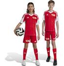 Vorschau: ADIDAS Kinder Teamhose 1. FC Union Berlin 24/25 Kids Heim
