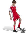 Vorschau: ADIDAS Kinder Teamhose 1. FC Union Berlin 24/25 Kids Heim