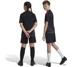Vorschau: ADIDAS Kinder Teamhose 1. FC Union Berlin 24/25 Kids Auswärts