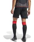 Vorschau: ADIDAS Herren Teamhose 1. FC Union Berlin 24/25 Auswärts
