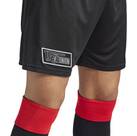 Vorschau: ADIDAS Herren Teamhose 1. FC Union Berlin 24/25 Auswärts