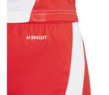 Vorschau: ADIDAS Herren Teamhose 1. FC Union Berlin 24/25 Heim