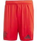 Vorschau: ADIDAS Herren Teamhose FC Bayern München 24/25 Heim