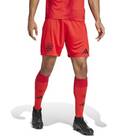 Vorschau: ADIDAS Herren Teamhose FC Bayern München 24/25 Heim