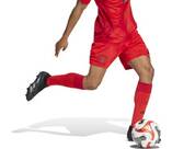 Vorschau: ADIDAS Herren Teamhose FC Bayern München 24/25 Heim