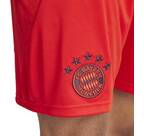 Vorschau: ADIDAS Herren Teamhose FC Bayern München 24/25 Heim