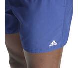 Vorschau: ADIDAS Herren Shorts Colorblock CLX
