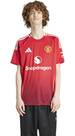 Vorschau: ADIDAS Herren Trikot Manchester United 24/25 Heimtrikot