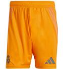 Vorschau: ADIDAS Herren Teamhose Real Madrid 24/25 Auswärts