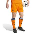 Vorschau: ADIDAS Herren Teamhose Real Madrid 24/25 Auswärts