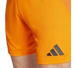 Vorschau: ADIDAS Herren Teamhose Real Madrid 24/25 Auswärts