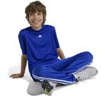 Vorschau: ADIDAS Kinder Shirt Train Essentials Logo Regular Fit Kids