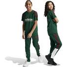 Vorschau: ADIDAS Kinder Hose Tiro Nations Pack Kids