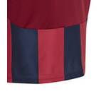 Vorschau: ADIDAS Kinder Trikot Striped 24 Kids