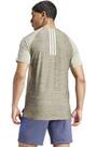 Vorschau: ADIDAS Herren Shirt Gym+ Training 3-Streifen