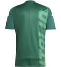 Vorschau: ADIDAS Herren Fantrikot Italien Pre-Match Shirt