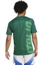 Vorschau: ADIDAS Herren Fantrikot Italien Pre-Match Shirt