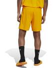 Vorschau: ADIDAS Herren Shorts House of Tiro Nations Pack (normal & lang)
