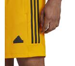 Vorschau: ADIDAS Herren Shorts House of Tiro Nations Pack (normal & lang)