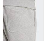 Vorschau: ADIDAS Herren Hose ALL SZN French Terry Regular Tapered