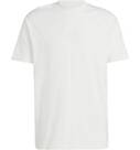 Vorschau: ADIDAS Herren Shirt ALL SZN Graphic