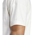 Vorschau: ADIDAS Herren Shirt ALL SZN Graphic