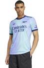 Vorschau: ADIDAS Herren Trikot Arsenal 24/25 Ausweichtrikot