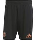 Vorschau: ADIDAS Herren Teamhose FC Bayern München 24/25 Auswärts