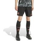 Vorschau: ADIDAS Herren Teamhose FC Bayern München 24/25 Auswärts