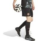 Vorschau: ADIDAS Herren Teamhose FC Bayern München 24/25 Auswärts