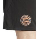 Vorschau: ADIDAS Herren Teamhose FC Bayern München 24/25 Auswärts