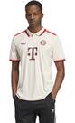 Vorschau: ADIDAS Herren Trikot FC Bayern München 24/25 Ausweichtrikot