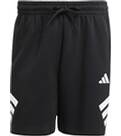 Vorschau: ADIDAS Herren Shorts Future Icons 3-Stripes