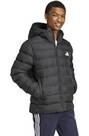 Vorschau: ADIDAS Herren Jacke SDP Insulated