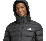 Vorschau: ADIDAS Herren Jacke SDP Insulated