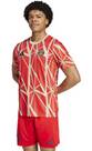 Vorschau: ADIDAS Herren Fantrikot FC Bayern München Pre-Match Shirt