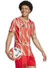 Vorschau: ADIDAS Herren Fantrikot FC Bayern München Pre-Match Shirt