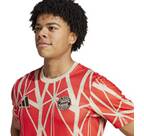 Vorschau: ADIDAS Herren Fantrikot FC Bayern München Pre-Match Shirt
