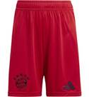 Vorschau: ADIDAS Kinder Teamhose FC Bayern München 24/25 Kids Heim