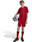 Vorschau: ADIDAS Kinder Teamhose FC Bayern München 24/25 Kids Heim